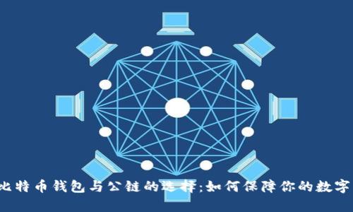 深入解析比特币钱包与公链的选择：如何保障你的数字资产安全？