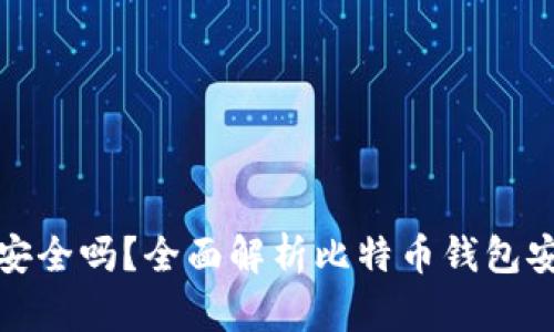 比特币钱包真的安全吗？全面解析比特币钱包安全性及保护措施