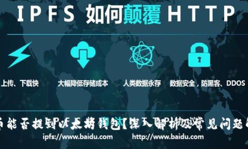 屎币能否提到以太坊钱包？深入解析及常见问题解答