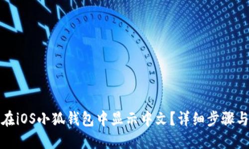 如何在iOS小狐钱包中显示中文？详细步骤与技巧