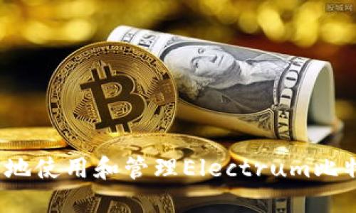 如何安全地使用和管理Electrum比特币钱包？