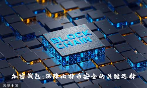 加密钱包：保障比特币安全的关键选择