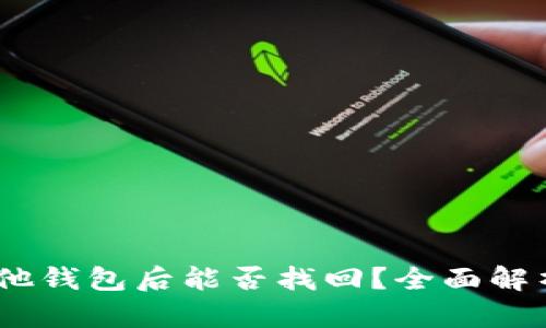 USDT提到其他钱包后能否找回？全面解析与案例分析