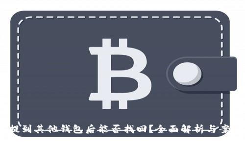 USDT提到其他钱包后能否找回？全面解析与案例分析