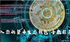 如何将USDT转入你的货币生