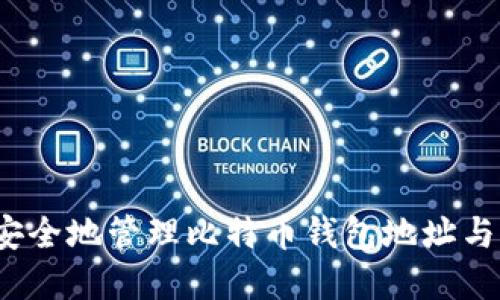 如何安全地管理比特币钱包地址与密码？