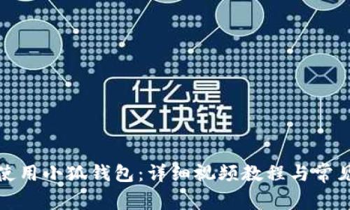 如何正确使用小狐钱包：详细视频教程与常见问题解答