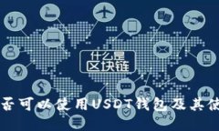 国内是否可以使用USDT钱包及其使用指南