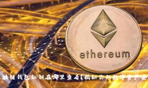 区块链钱包私钥在哪里查看？揭秘你的数字资产安全