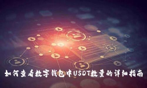 如何查看数字钱包中USDT数量的详细指南