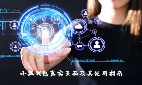 小狐钱包真实页面及其使用指南