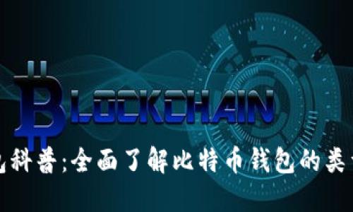 比特币钱包科普：全面了解比特币钱包的类型与安全性