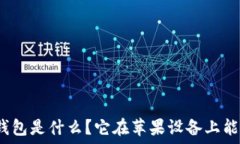   虚拟币钱包是什么？它在苹果设备上能做什么？