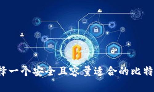 如何选择一个安全且容量适合的比特币钱包？